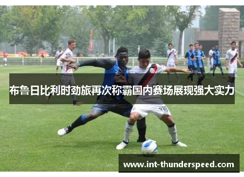 布鲁日比利时劲旅再次称霸国内赛场展现强大实力 布鲁日比利时劲旅再次称霸国内赛场展现强大实力